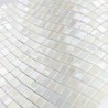 Tile glass mosaic wall and floor model Imperial Blanc