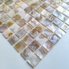 mosaic tiles mother of pearl for floor or wall Nacarat Naturel