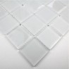 Mosaique carrelage verre 1 plaque MAT BLANC 48