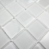 Mosaique carrelage verre 1 plaque MAT BLANC 48